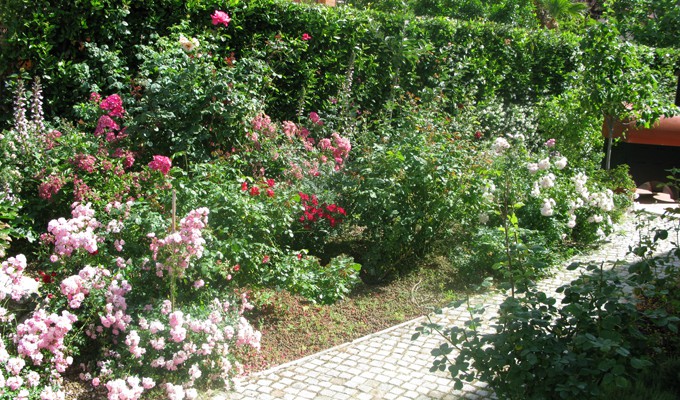 Chines garden_5